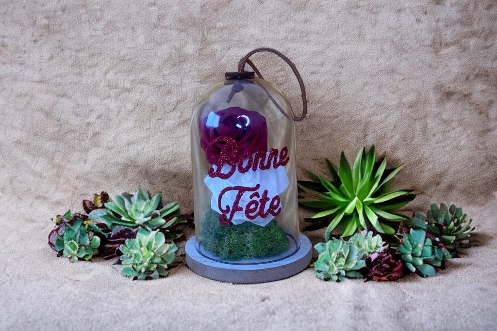 Roses sous cloche grande rouge blanche